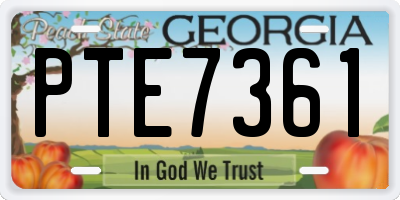 GA license plate PTE7361