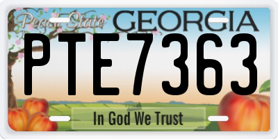 GA license plate PTE7363