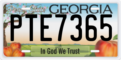 GA license plate PTE7365