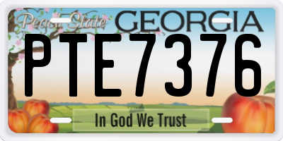 GA license plate PTE7376