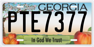 GA license plate PTE7377