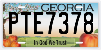 GA license plate PTE7378