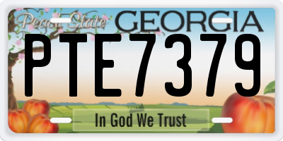 GA license plate PTE7379