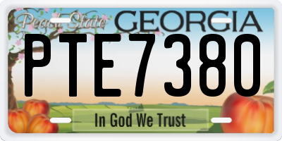 GA license plate PTE7380