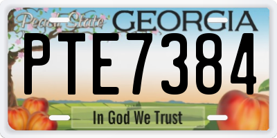 GA license plate PTE7384