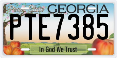 GA license plate PTE7385
