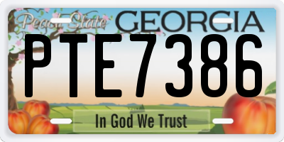GA license plate PTE7386