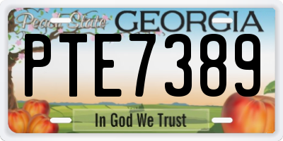 GA license plate PTE7389