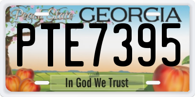 GA license plate PTE7395