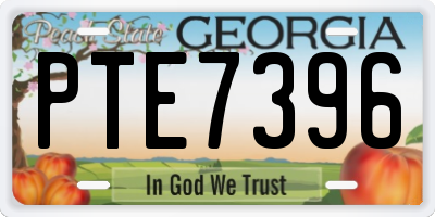 GA license plate PTE7396