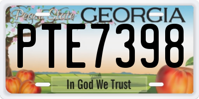 GA license plate PTE7398