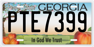 GA license plate PTE7399
