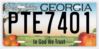 GA license plate PTE7401