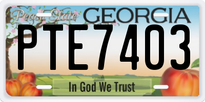 GA license plate PTE7403