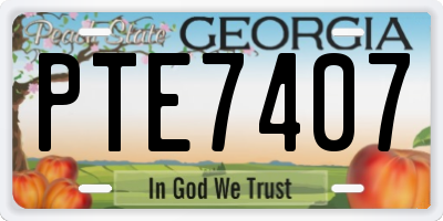 GA license plate PTE7407
