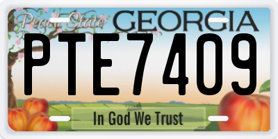 GA license plate PTE7409
