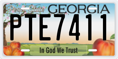 GA license plate PTE7411