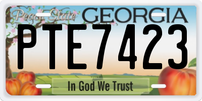 GA license plate PTE7423