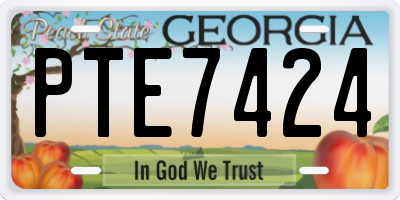 GA license plate PTE7424