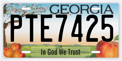 GA license plate PTE7425