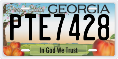 GA license plate PTE7428