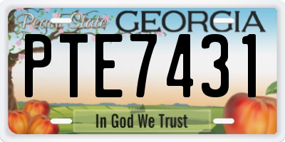 GA license plate PTE7431