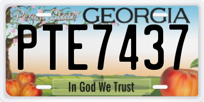 GA license plate PTE7437