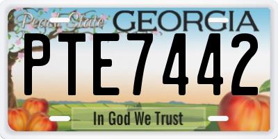GA license plate PTE7442
