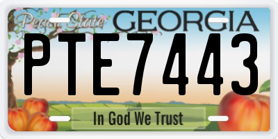 GA license plate PTE7443