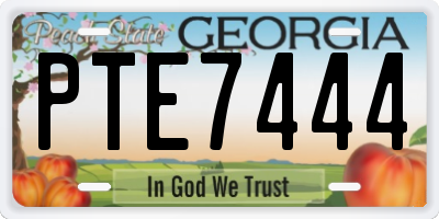 GA license plate PTE7444