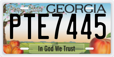 GA license plate PTE7445