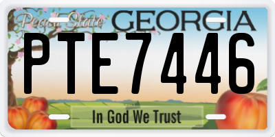 GA license plate PTE7446