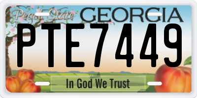 GA license plate PTE7449