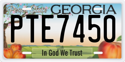 GA license plate PTE7450