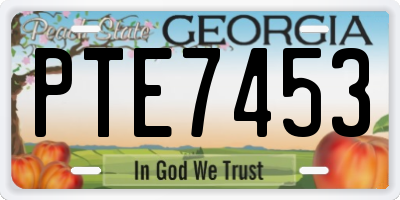 GA license plate PTE7453