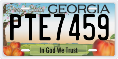 GA license plate PTE7459
