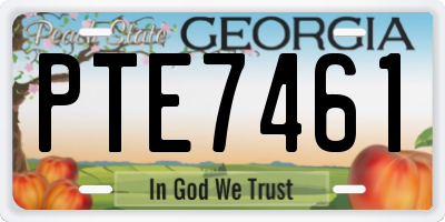 GA license plate PTE7461