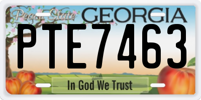 GA license plate PTE7463