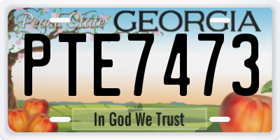 GA license plate PTE7473