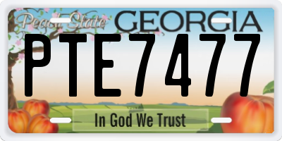 GA license plate PTE7477