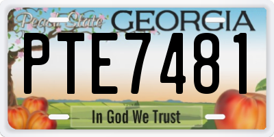 GA license plate PTE7481