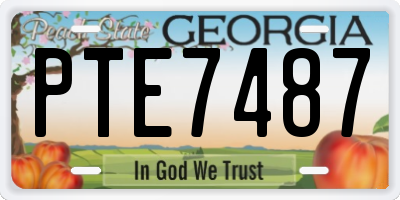 GA license plate PTE7487