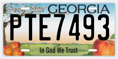 GA license plate PTE7493