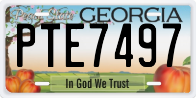 GA license plate PTE7497