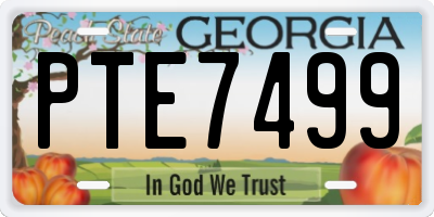 GA license plate PTE7499