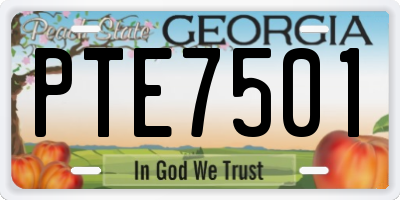 GA license plate PTE7501