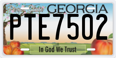 GA license plate PTE7502