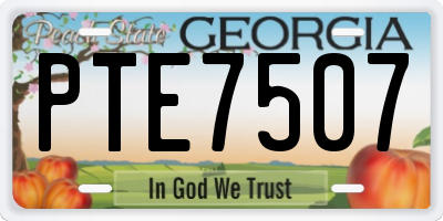 GA license plate PTE7507