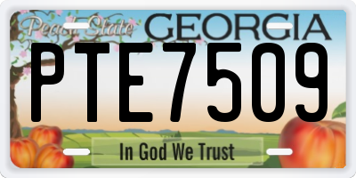 GA license plate PTE7509