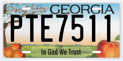 GA license plate PTE7511